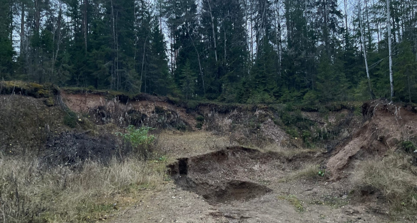 В Вологодской области стартовал сезон поисковых экспедиций