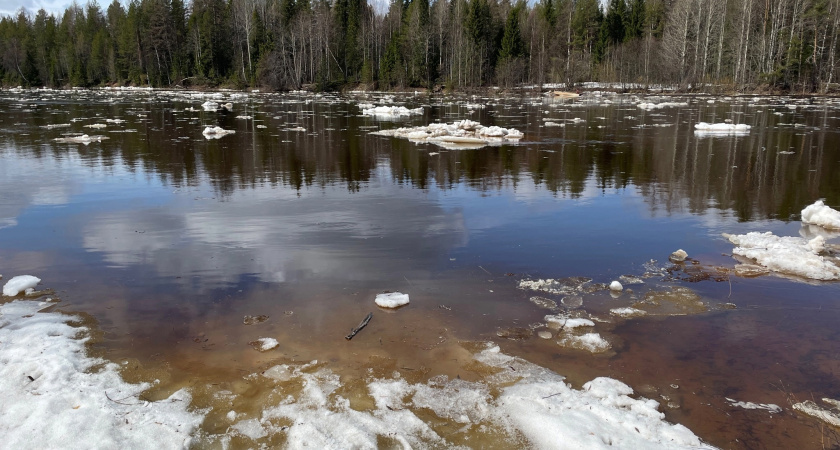 В Вологодской области в реке Сухоне утонул рыбак