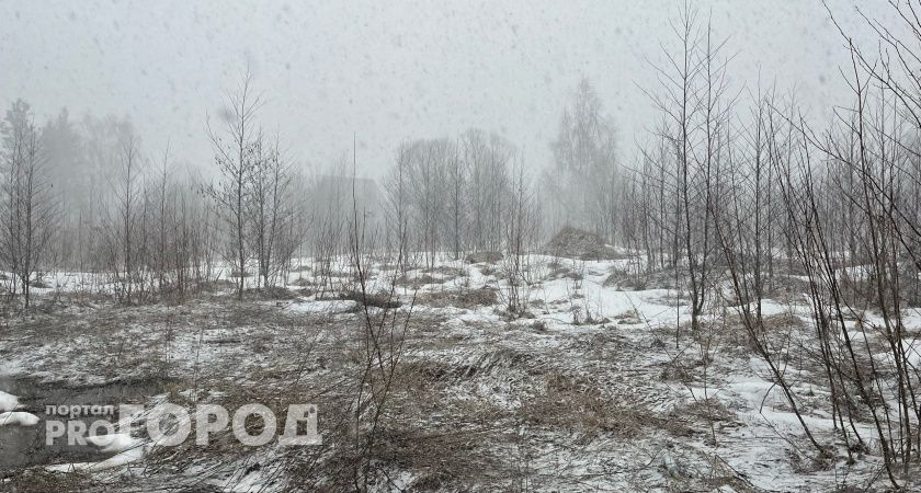 В Вологодской области синоптики прогнозируют на 26 апреля снегопады