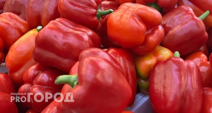 Вологда осенью примет всероссийский конкурс "Лучший по профессии"