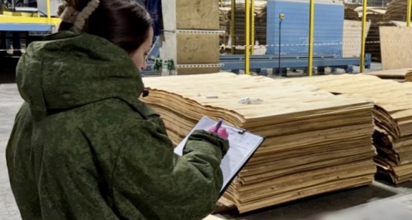 Завершено расследование убийства на деревообрабатывающем предприятии в Вологодской области