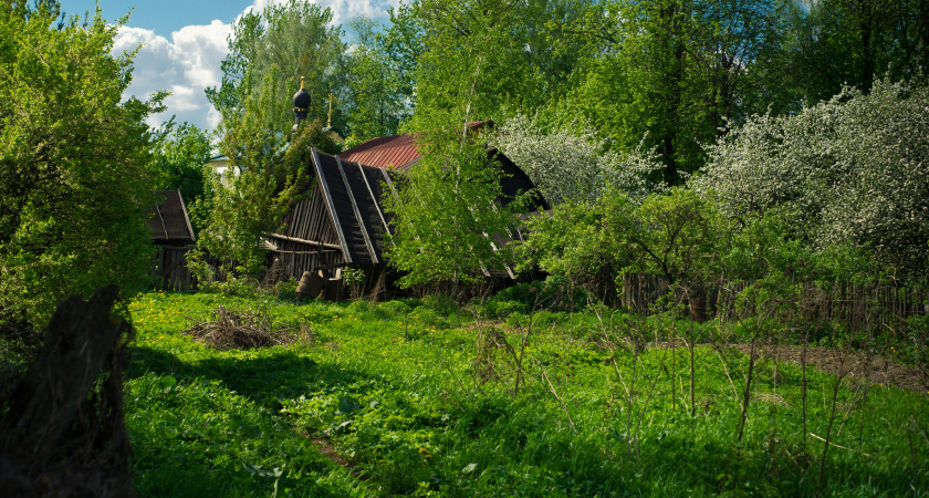 Уксус и сода — прошлый век: избавляюсь от сорняков другим средством — даже осот с пыреем «сдаются»