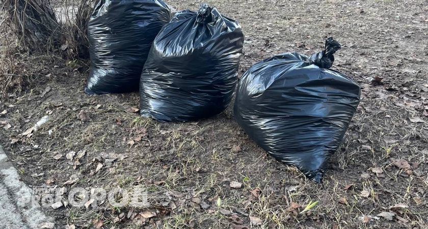 Вологодская область поддержит экологическую акцию "Выбираю чистый воздух"