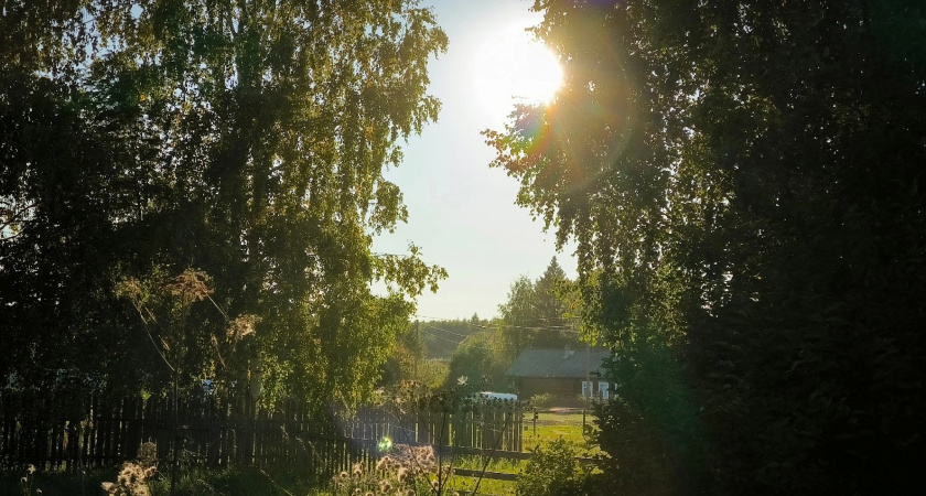 Аномальная жара в Вологодской области: когда ждать похолодания и как защититься от перегрева