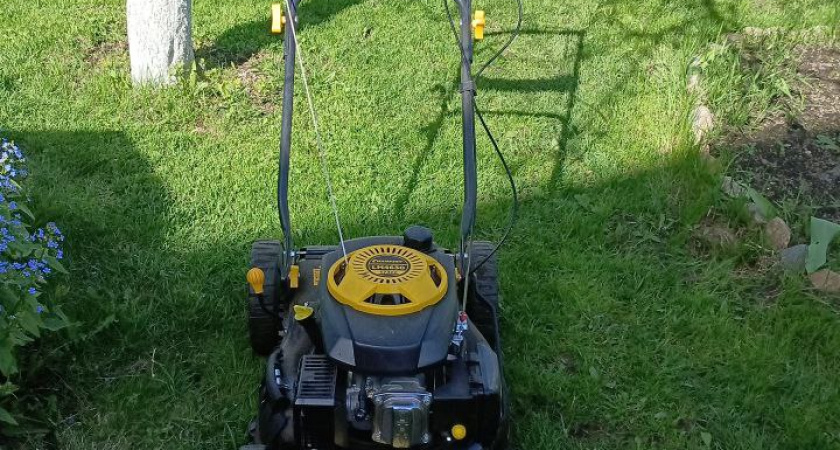 «Пшикаю» на садовые дорожки — и «сжигаю» все сорняки: за 24 часа исчезают даже пырей и молочай