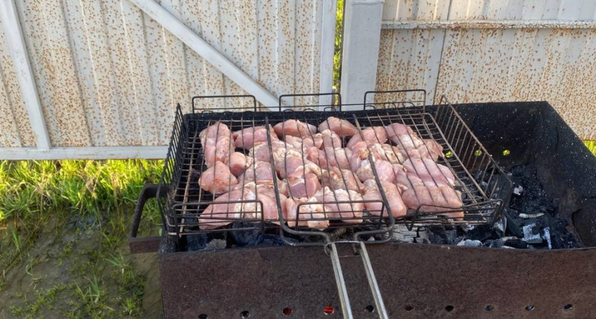 Не лимон и не кефир: в чём ушлые хозяйки выдерживают мясо для шашлыка — тает во рту