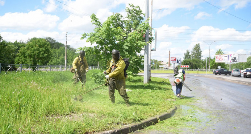 В Вологде покос травы и борьба с борщевиком идут полным ходом