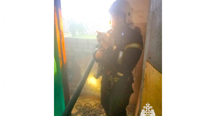 В Вологодской области пожарный спас кота из загоревшейся 12-этажки