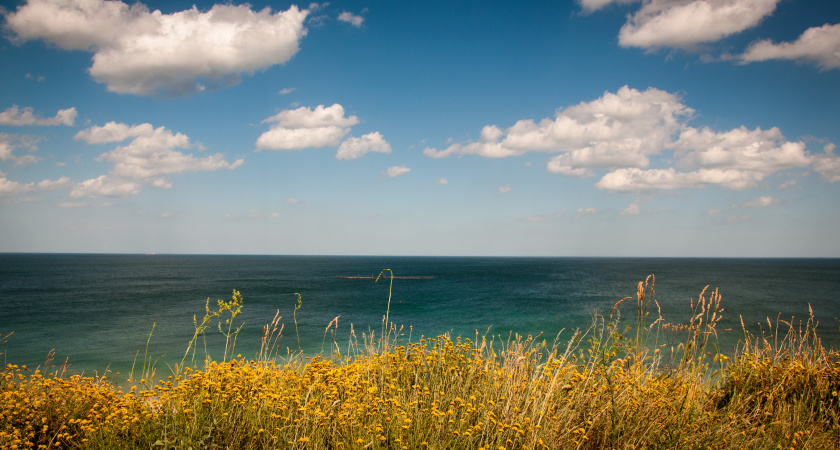 "Еле ноги унесли от этого гостеприимства": турист оставил честный отзыв об отдыхе в Абхазии
