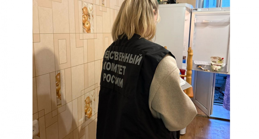 17-летний вологжанин предстанет перед судом за убийство мужчины в пьяной драке