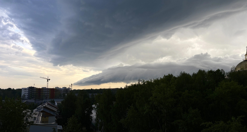 Вологодская область готовится к дождям и аномальному похолоданию в конце июня