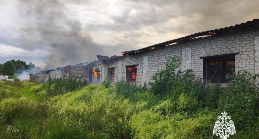 МЧС тушит ферму в Вологодской области: массовая гибель скота из-за короткого замыкания
