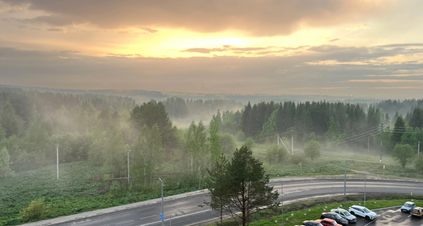 Лето дало сбой: в Вологодской области прогнозируют дожди, грозы и туман