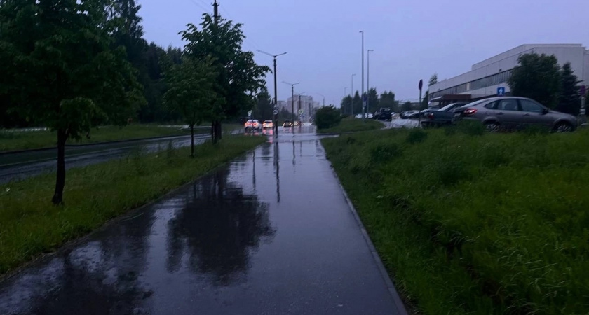 Атлантические циклоны приносят дожди и прохладу: какая погода ждет Вологодскую область в начале июля