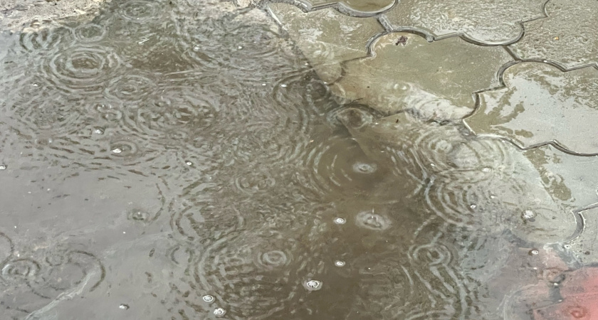 Лето в режиме нон-стоп: Вологодская область встретит 2 июля дождями и порывистым ветром