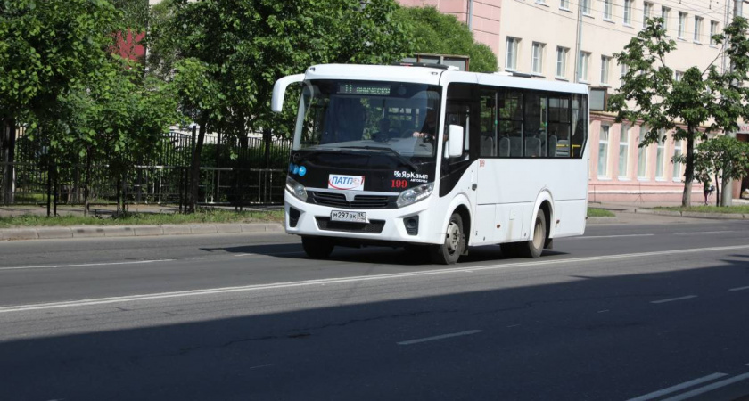 Вологда получит 20 уникальных автобусов к осени