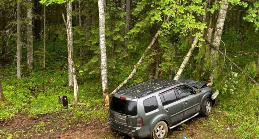 Четыре человека пострадали в лобовом столкновении на трассе "Кола" в Вологодской области