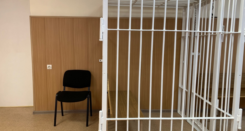 Житель Вологодской области осужден за призывы к экстремизму