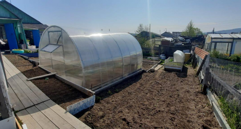 Несу в теплицу эту вещь, как только зацветают томаты — больше пустоцветов не будет, все кусты покроются завязями