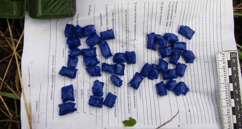 В Вологодской области задержали наркокурьеров с крупной партией запрещённых веществ