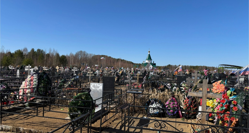 Тревожные цифры: почему в Вологодской области умирают чаще, чем в других регионах