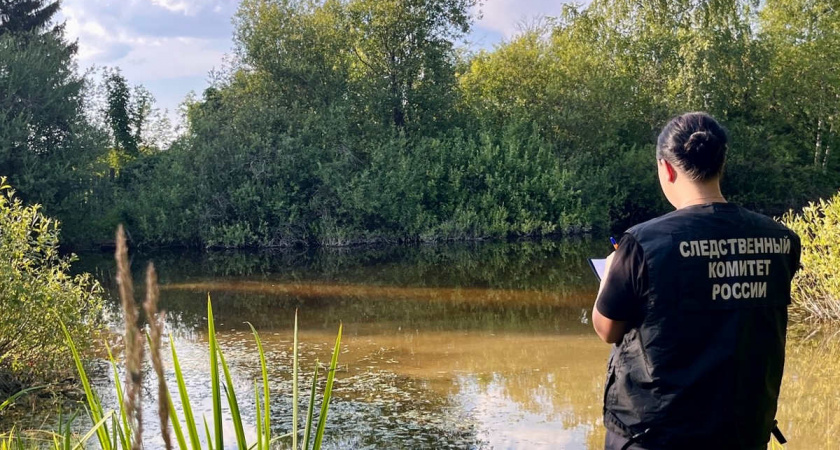 Алкоголь стал причиной гибели мужчины в пруду в Вологодской области