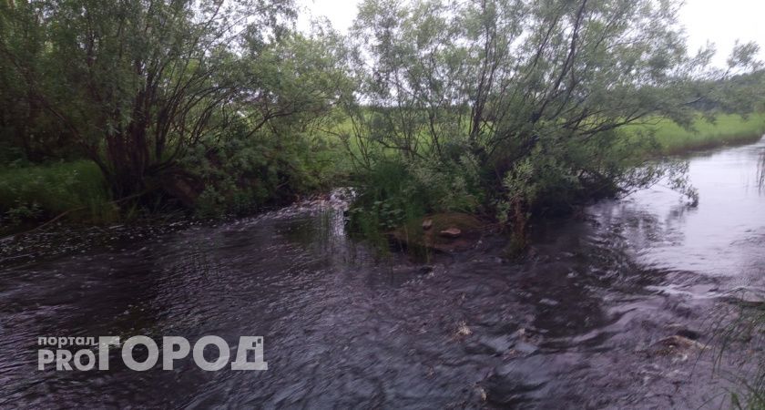 В Вологодской области мужчина скончался после столкновения с лодкой