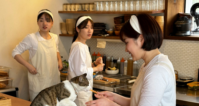 "Всё круто, но общаться с местными не разрешали": туристка из РФ — о новом курорте в КНДР