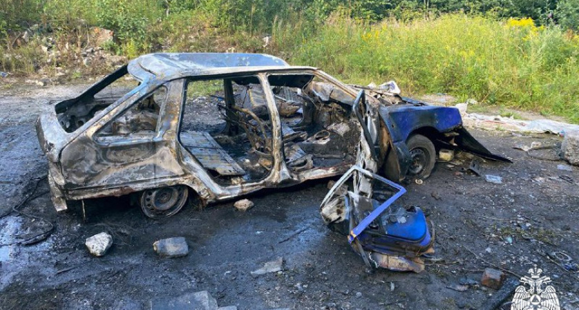 В Вологодской области среди бела дня сожгли автомобиль