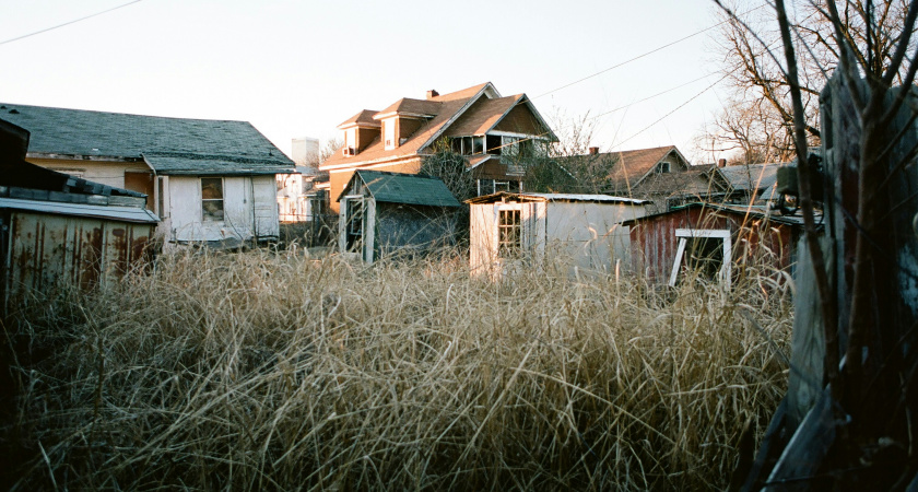 Названо самое полезное растение на огороде: это не ягода и не овощ