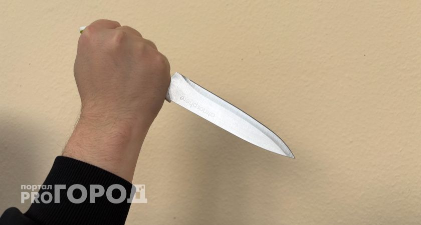 Житель Вологодской области получил наказание за избиение и поножовщину