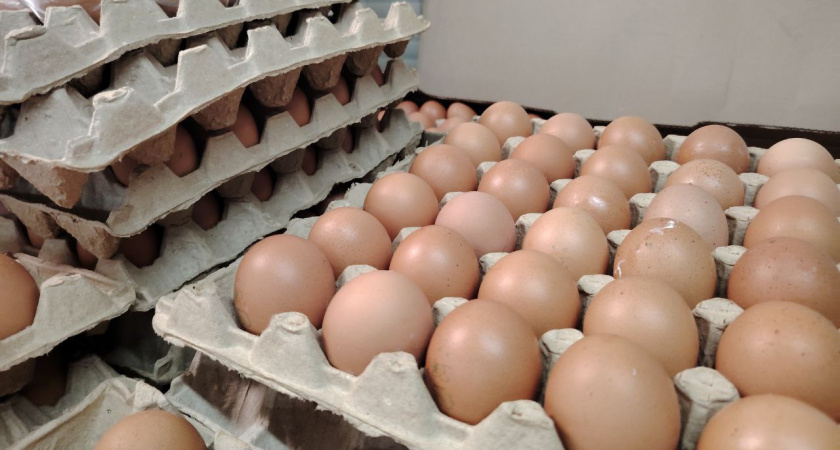 Хитрые продавцы выбирают яйца только так: запоминайте 2 лайфхака