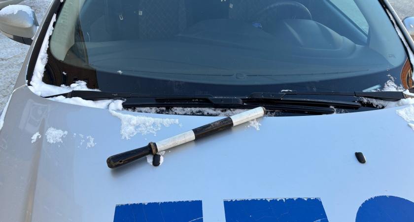 С 13 августа ГИБДД будет штрафовать на 800 рублей за отсутствие определенного документа в автомобиле