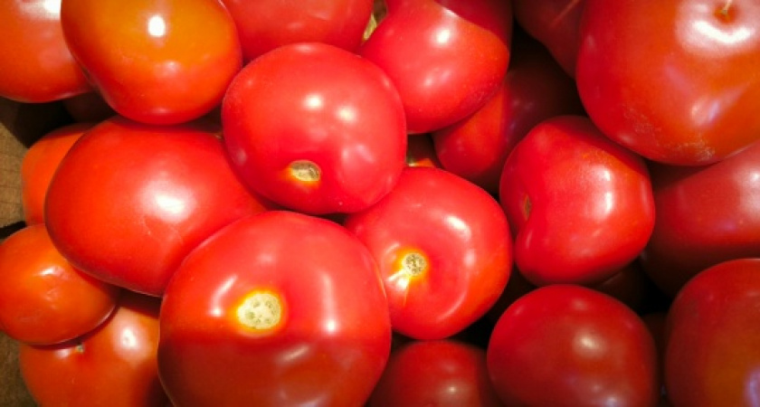 Когда услышала рецепт – не поверила: мариную помидоры за полчаса, вся семья в восторге