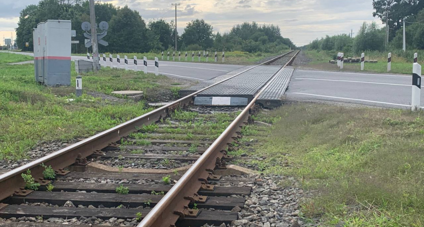 В РЖД подтвердили, что начали борьбу с виртуальными детскими билетами для выкупа купе