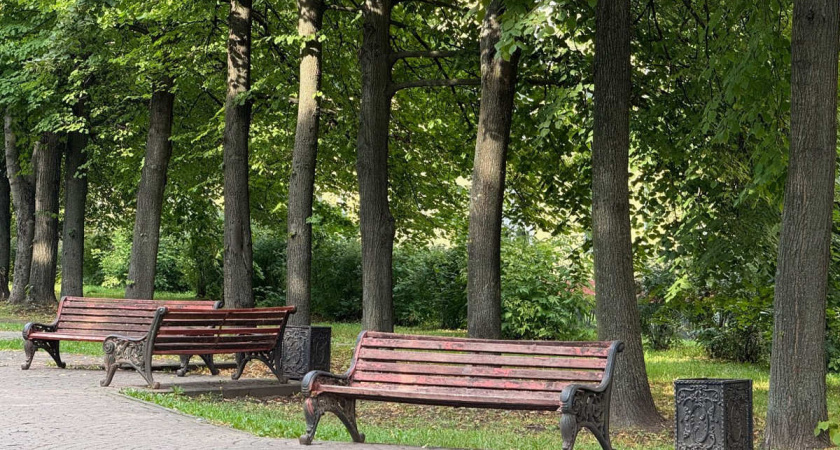 Бизнесмен вложит 12,5 миллиона рублей в преображение сквера Верещагина в Вологодской области 