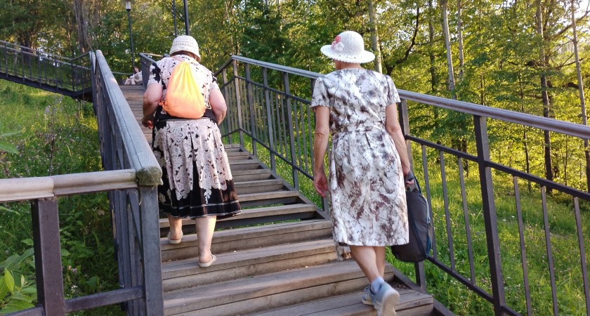 Еще одна поддержка для пенсионеров с низким доходом: как получить дополнительную выплату