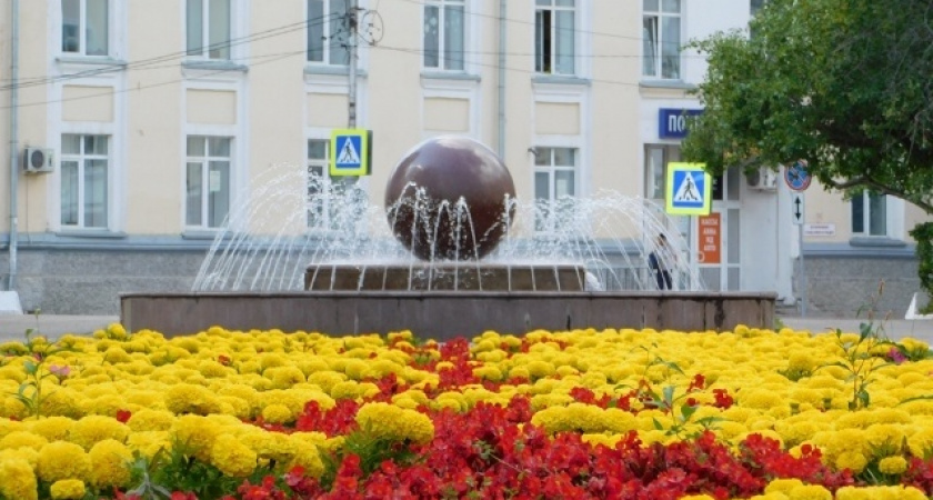 Тепло и кратковременные дожди ожидают Вологодскую область в предстоящие выходные