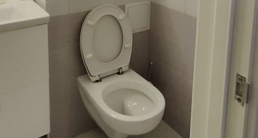 Теперь всегда сыплю в унитаз стиральный порошок: так поступают все профессиональные уборщицы