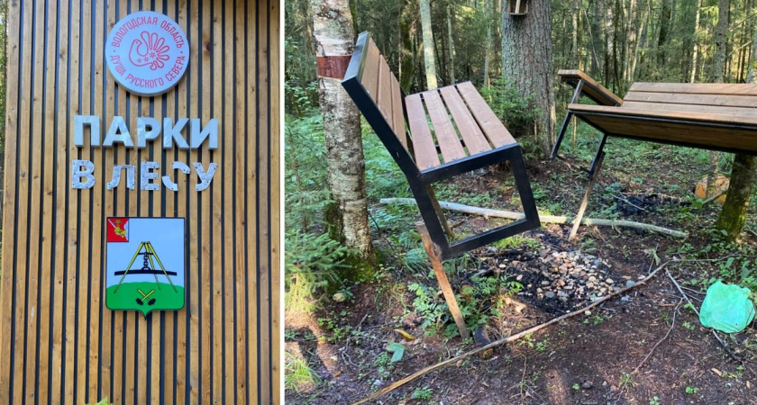 Вандалы разгромили популярную эко-тропу в Вологодской области