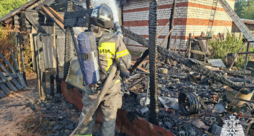 Пенсионер пострадал при пожаре в Вологодской области, пытаясь спасти хозяйственные постройки