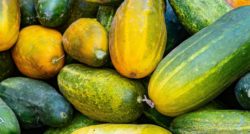 Не выбрасываю перезревшие кабачки: срочно в кастрюлю - рецепт кетчупа, который заставит забыть томатный