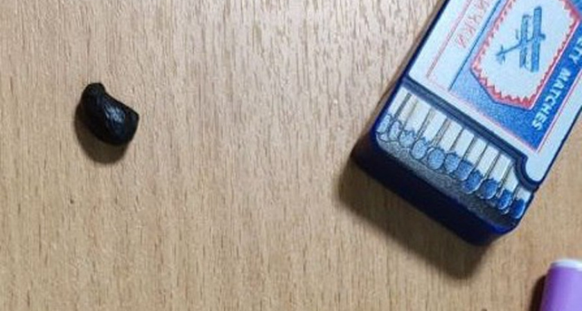 В Вологодской области задержан мужчина с синтетическими наркотиками