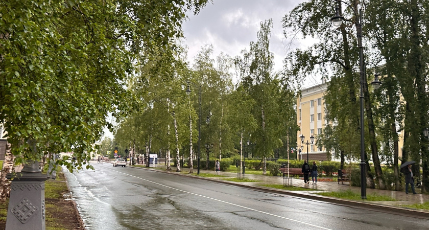 В Вологодской области ожидаются туманы и прохладная погода