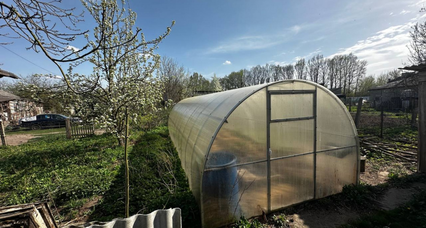 Раз в год бросайте в выгребную яму 3−4 гриба — и откачка не нужна: вода будет уходить в грунт чистой, и откачка не понадобится