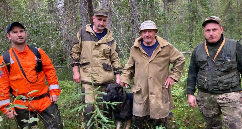 В Вологодской области кинолог с собакой обнаружил пенсионера, заблудившегося в лесу