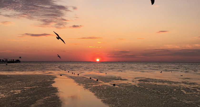 Теперь жалею, что не посещала Азовское море раньше. Обзор пляжа поселка Кучугуры