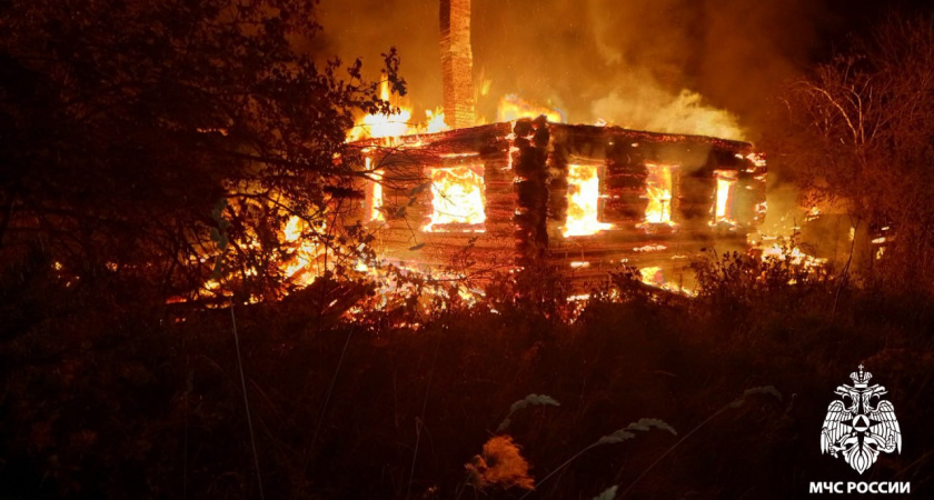 Пожар в Вологодской области унес жизнь мужчины