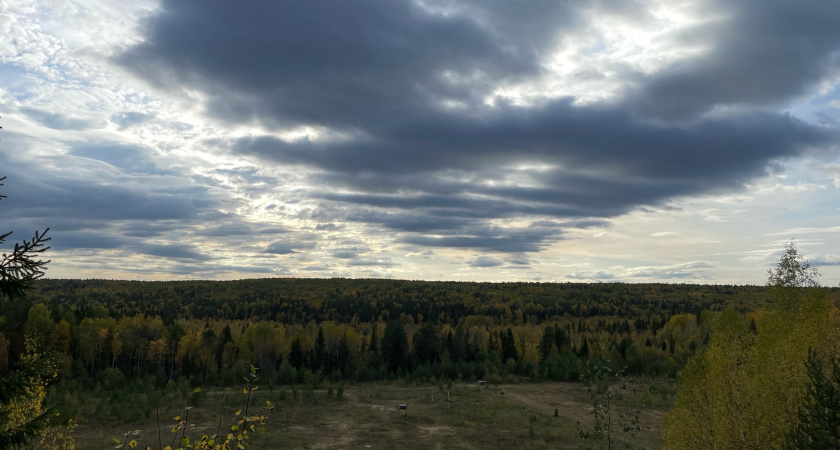 В Вологодской области ожидается пасмурный день с температурой до +19
