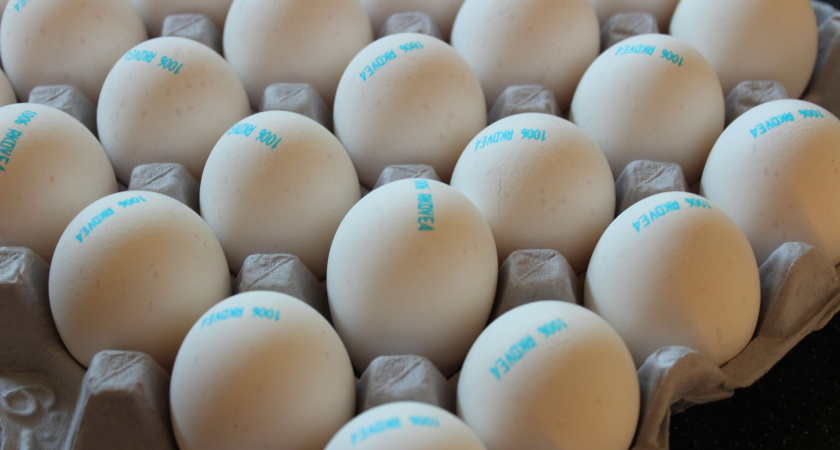 Лотки от яиц спускаю в погреб — и всю зиму не нарадуюсь: нужны не для хранения урожая — эффект дорогого стоит